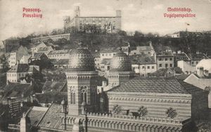 View of Bratislava with a neological synagogue before 1918